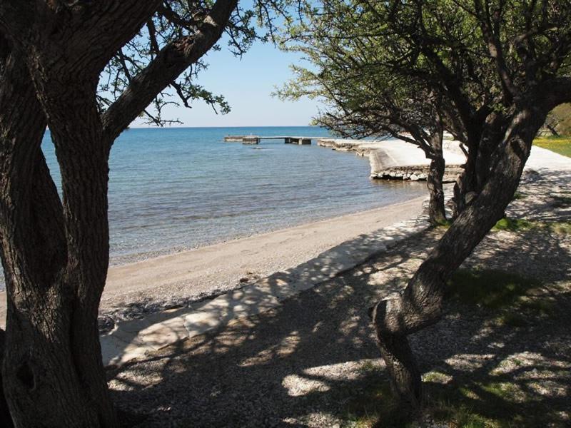 Apartments & Room Masa Starigrad Paklenica Cameră foto